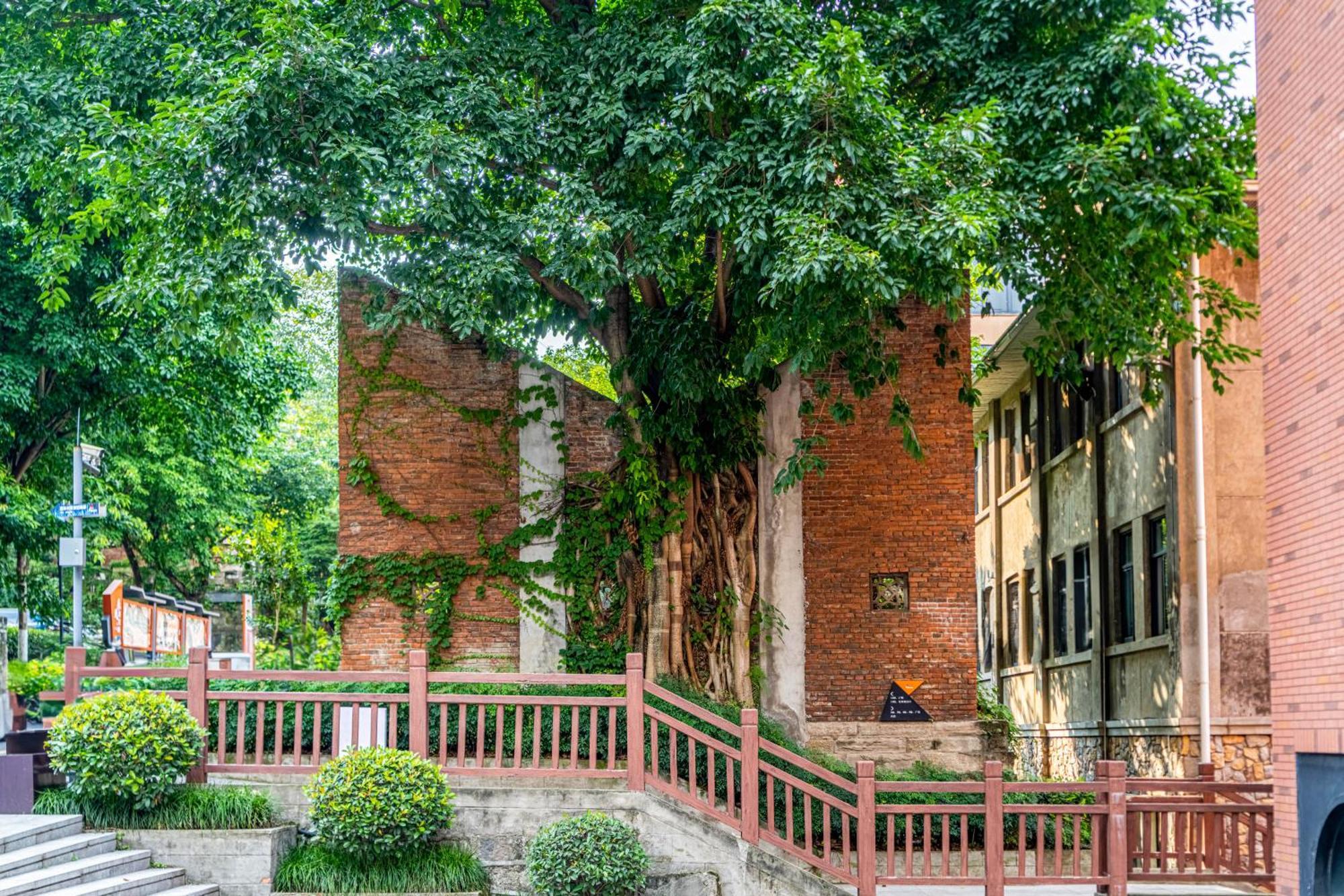 Wuyu Hotel - Chongqing University & Ciqikou Ancinet Town Exterior photo